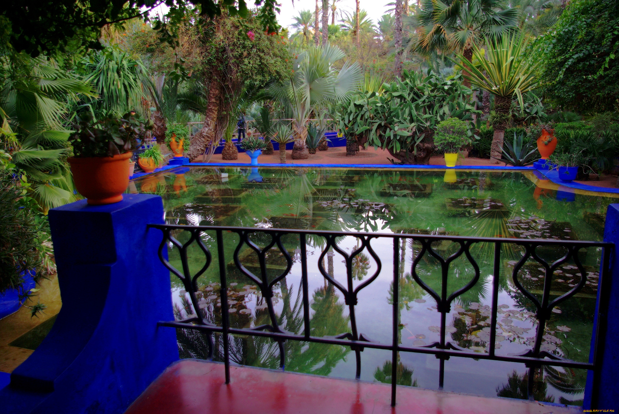 morocco, marrakech, jardin, majorelle, , , , 